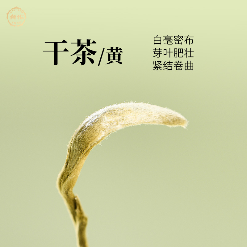 岳陽(yáng)黃茶