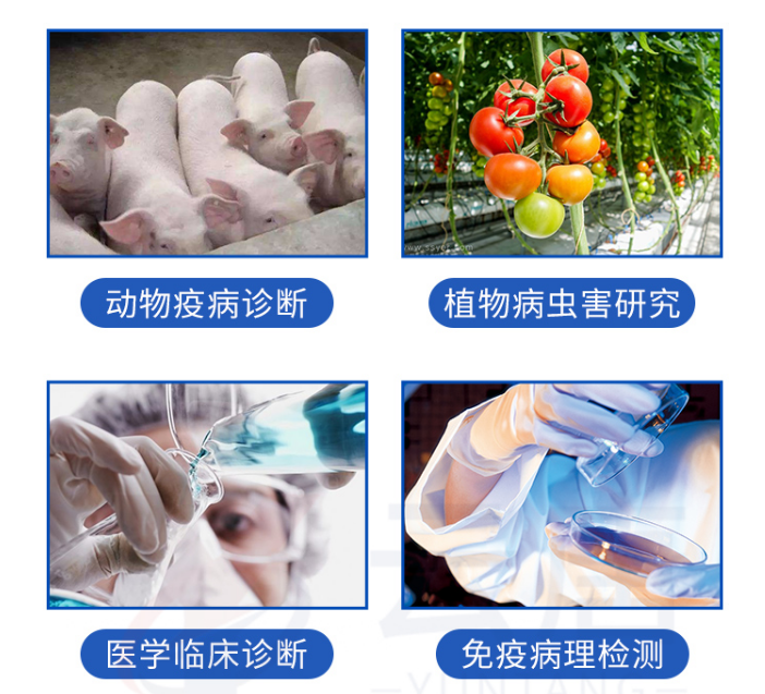 動(dòng)物疫病檢測(cè)儀的檢測(cè)范圍有哪些？