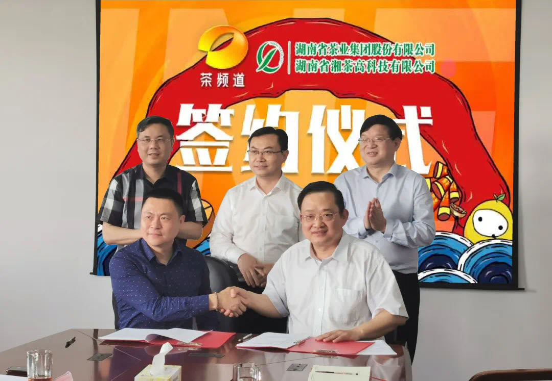 院士見證，輕輕茶發(fā)力品牌建設(shè)，與茶頻道達(dá)成深度合作