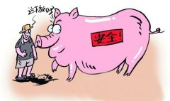 動(dòng)物疫病診斷的方法有哪些？
