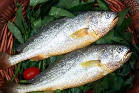黑魚中檢測出孔雀石綠超標(biāo)，黃魚中檢測出氧氟沙星超標(biāo)