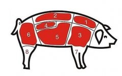病害肉檢測(cè)儀讓老百姓吃上放心肉！