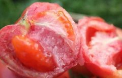 為何建議超市配備食品安全檢測儀？